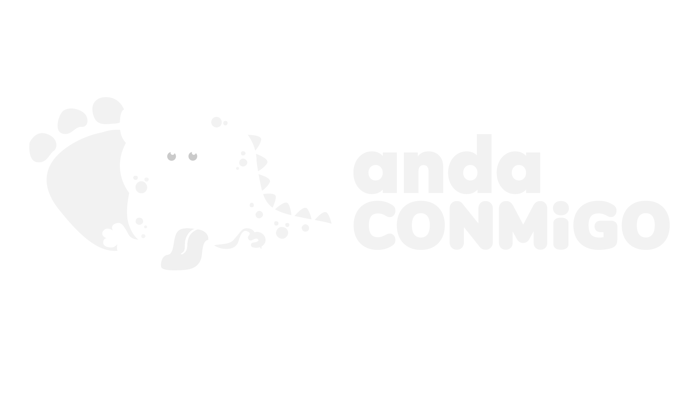 Fundación Anda Conmigo